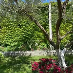 Miracle Garden Wlora