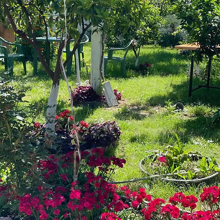 Miracle Garden