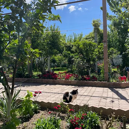 Miracle Garden Vila Vlorë