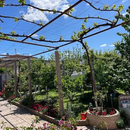 Miracle Garden Vlorë