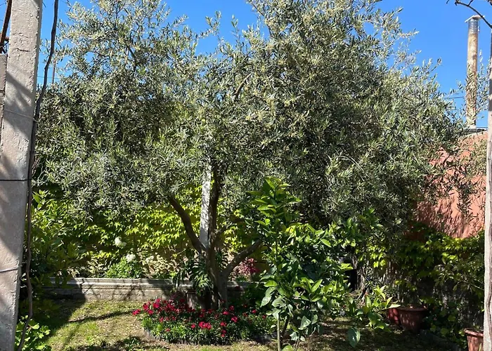 别墅 Miracle Garden *