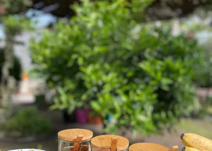 Miracle Garden * Vlorë