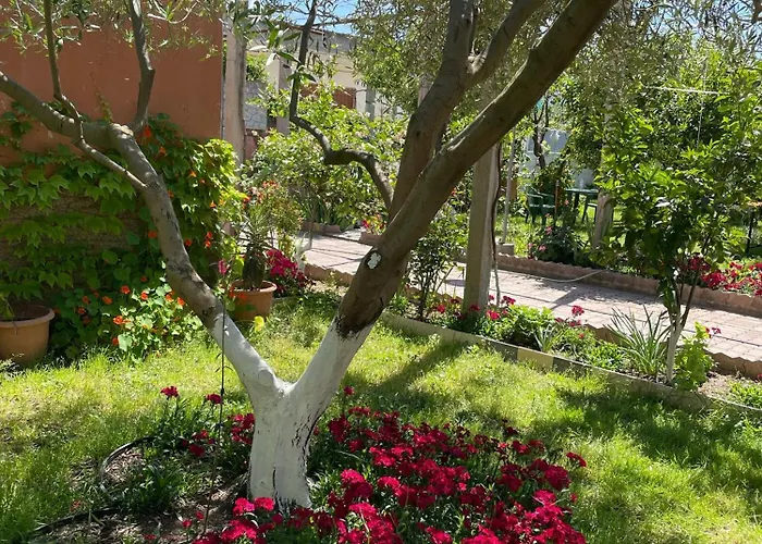 Miracle Garden * Vlorë