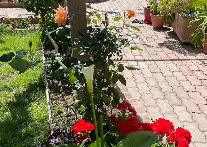 Miracle Garden * Vlorë