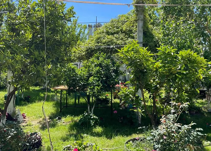 别墅 Miracle Garden