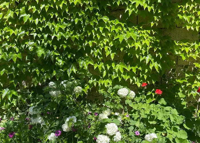 Miracle Garden * Vlorë