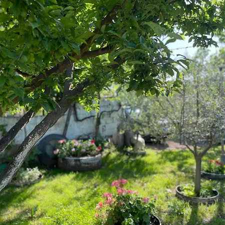 Villa Miracle Garden Vlore