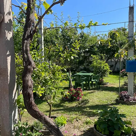 Villa Miracle Garden