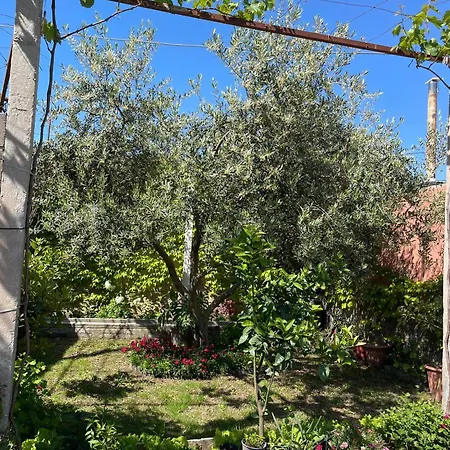 Villa Miracle Garden *