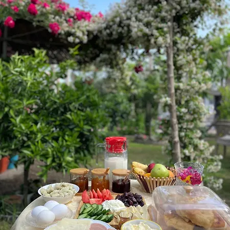 Villa Miracle Garden Vlore