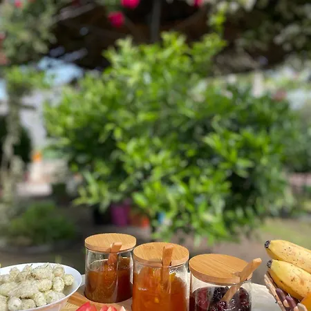 Miracle Garden * Vlorë
