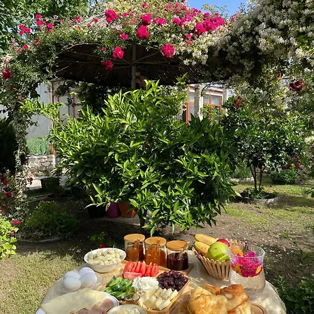 فيلة Miracle Garden *