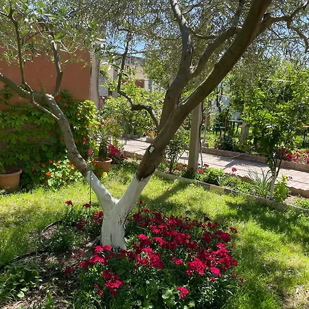 Miracle Garden * Vlore