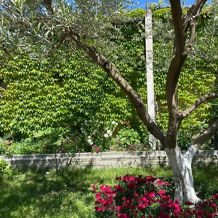 Miracle Garden Vlorë