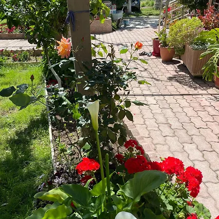 Miracle Garden * Vlorë