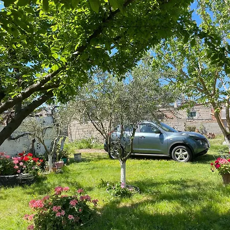 Miracle Garden Villa