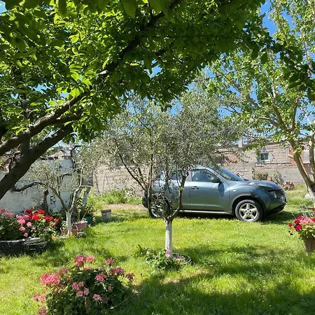 Miracle Garden Villa