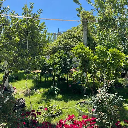 Villa Miracle Garden