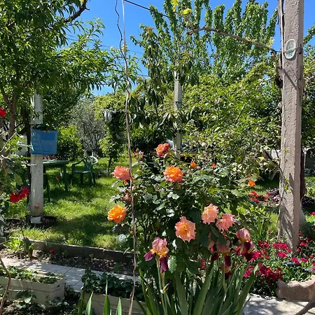 Miracle Garden Villa Vlorë