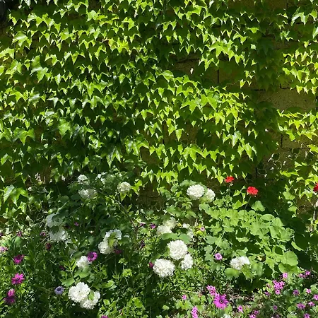 Miracle Garden * Vlore