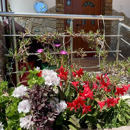 Miracle Garden