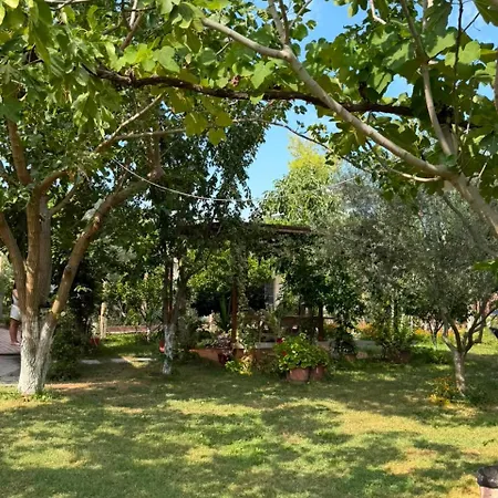 Miracle Garden Vlorë