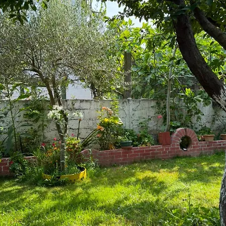 Villa Miracle Garden Vlorë