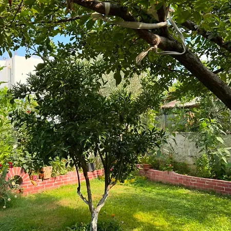 Miracle Garden Villa