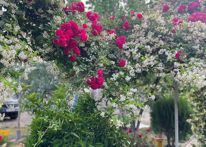 Miracle Garden Villa Vlorë