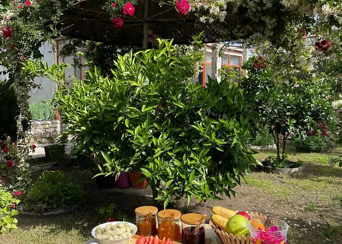 Villa Miracle Garden *