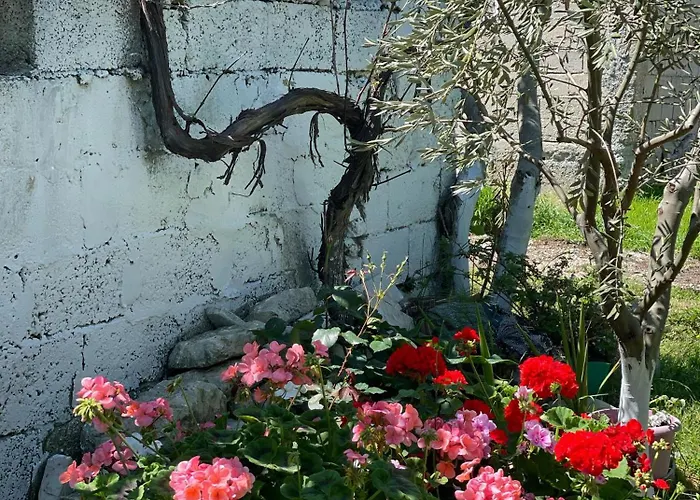 Villa Miracle Garden *