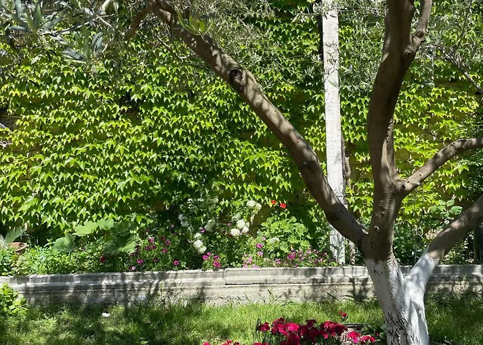 Miracle Garden Avlonya