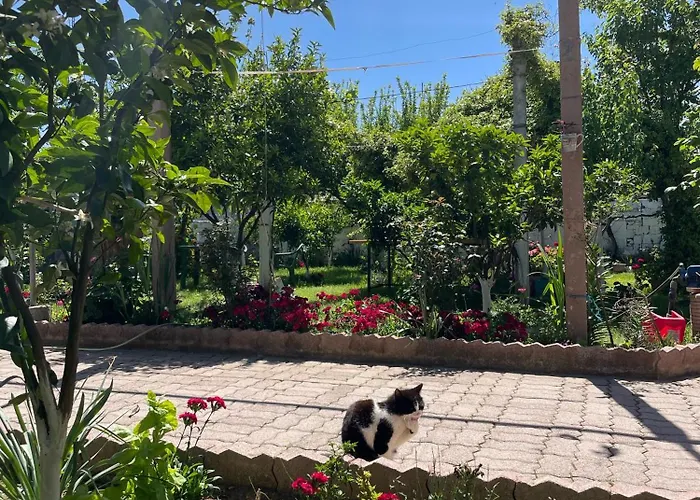 Miracle Garden Villa Vlorë